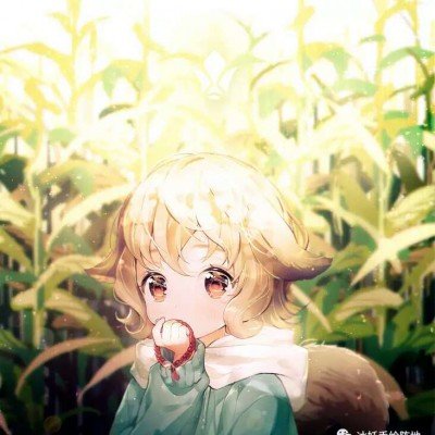 女孩2岁确诊孤独症父母花100万求医